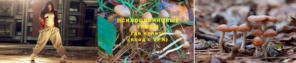кокаин колумбия Алзамай