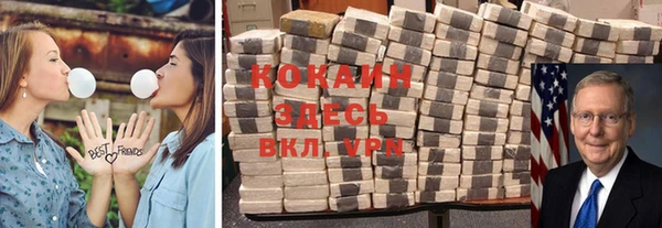 молекула духа Алексин