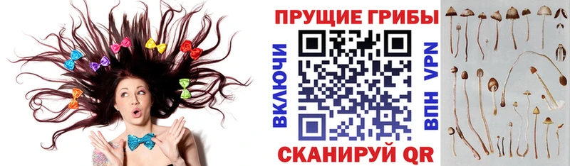цены наркотик  Билибино  Псилоцибиновые грибы мухоморы 